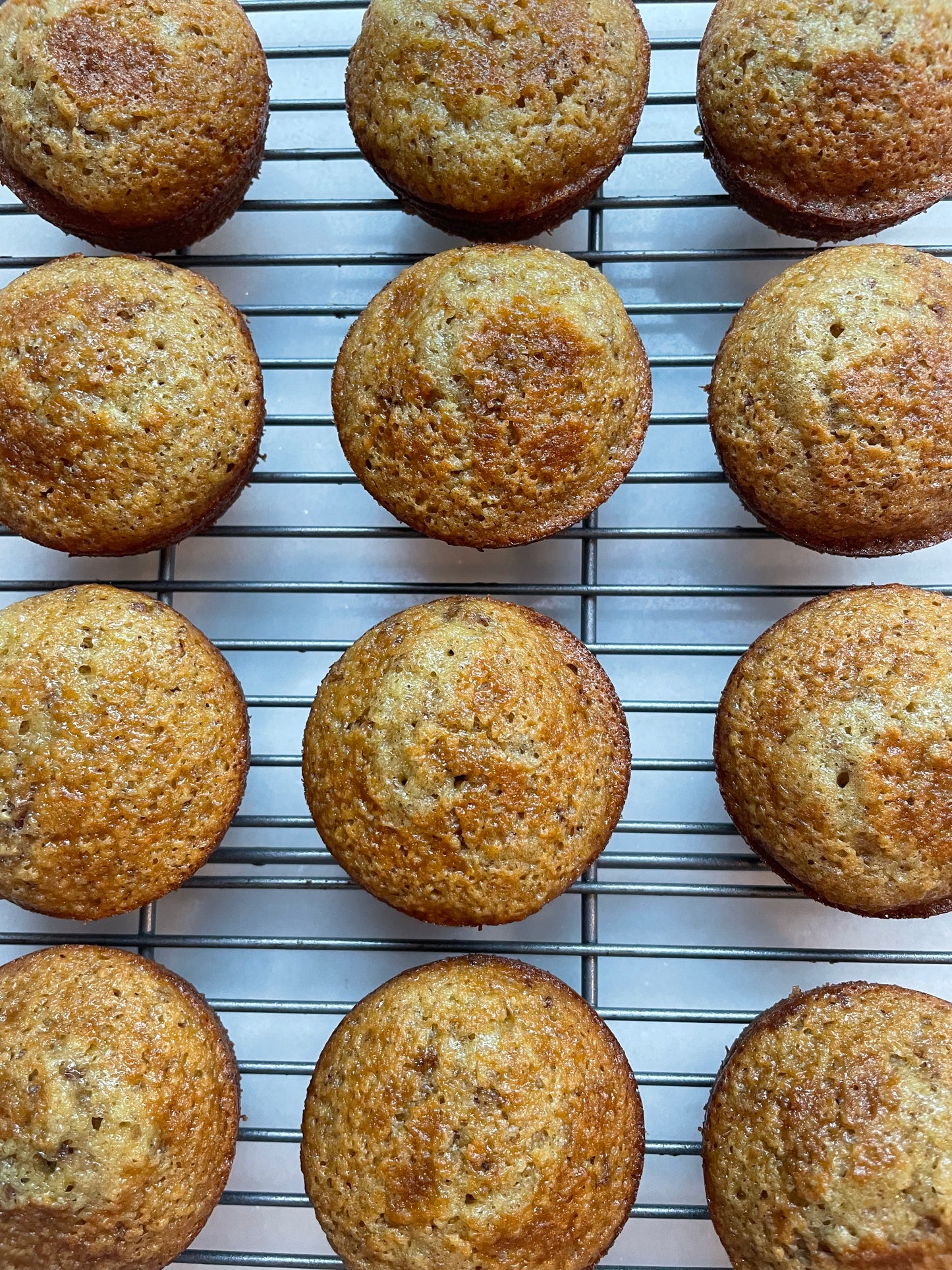 Honey Buttermilk Bran Muffin - 8 pack