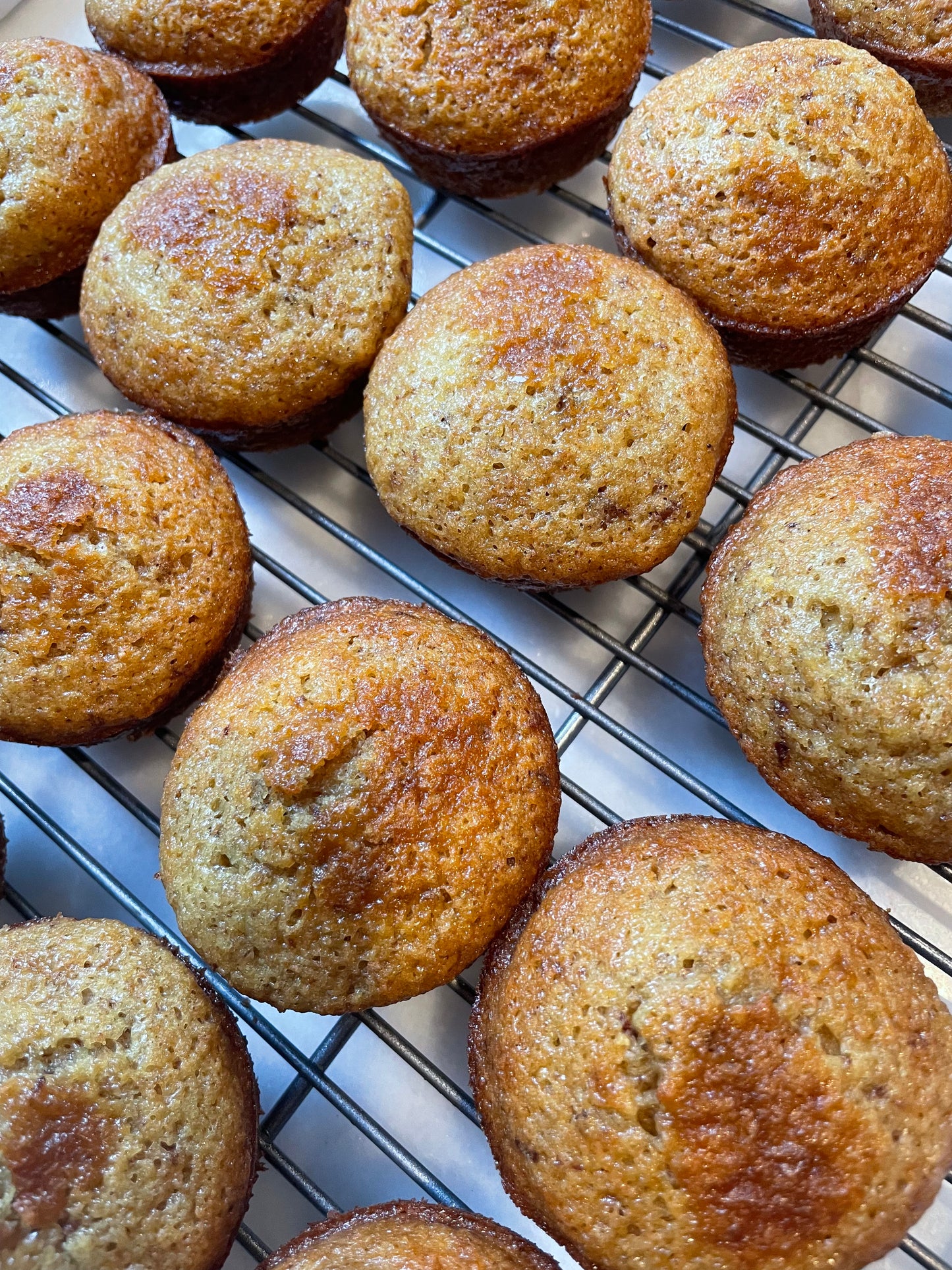 Honey Buttermilk Bran Muffin - 8 pack