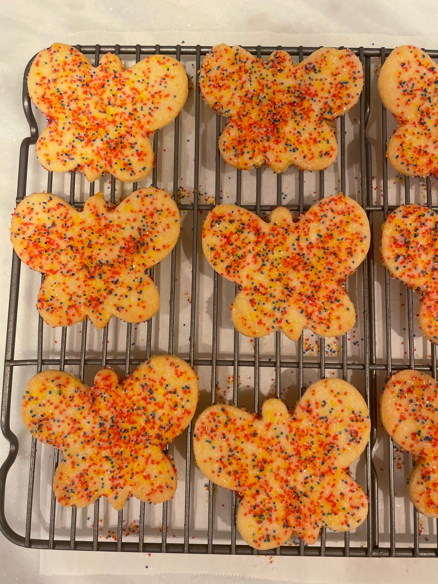 Holiday Sugar Cookies